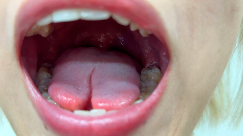 NKO-0500001 第 4 部分 - 30 分钟