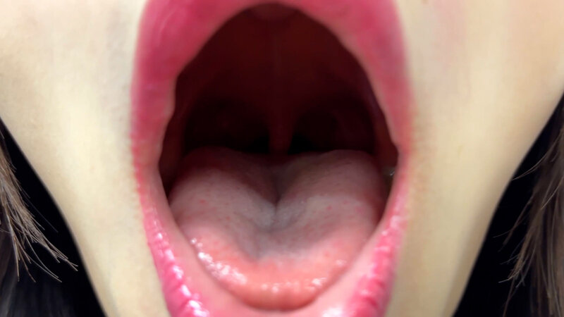 NKO-0500003 Part 6 - 30 minutes