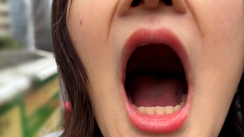 NKO-0500004 第 3 部分 - 30 分钟