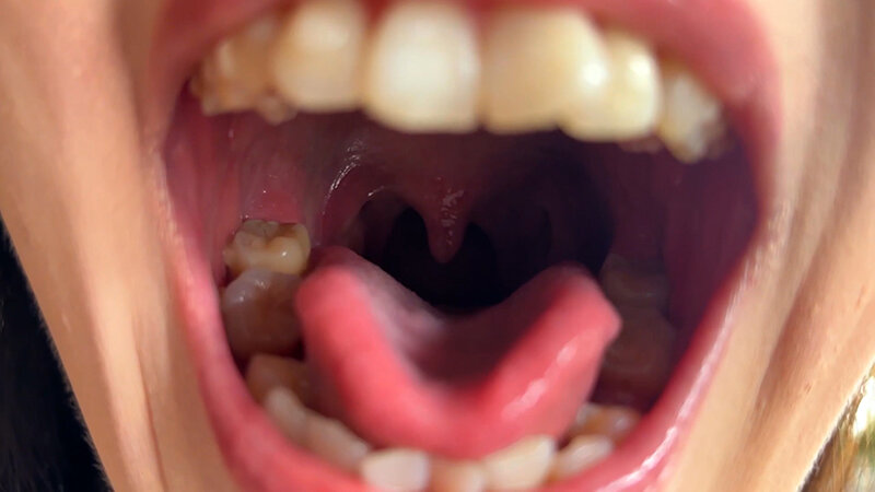 NKO-0600003 パート 3 - 30 分