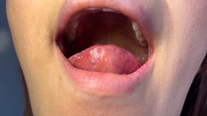 NKO-0600005 第 10 部分 - 30 分钟