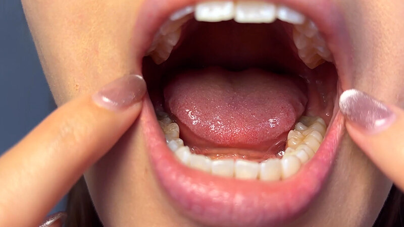 NKO-0600005 第 6 部分 - 30 分钟