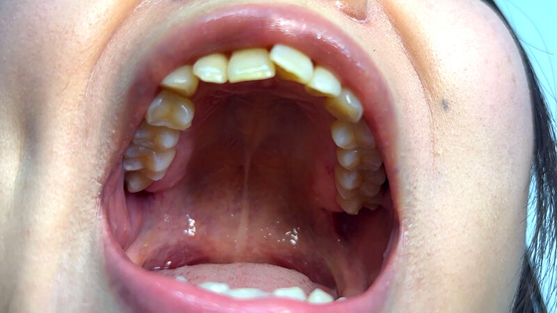 NKO-0600006 Part 4 - 30 minutes