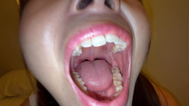 Y-276 パート 2 - 30 分