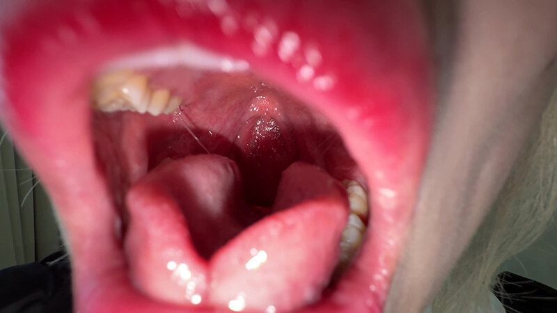 Y-296 第 5 部分 - 30 分钟