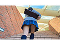 写真2