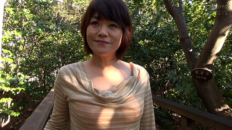 M-87306 第 1 部分 - 30 分钟