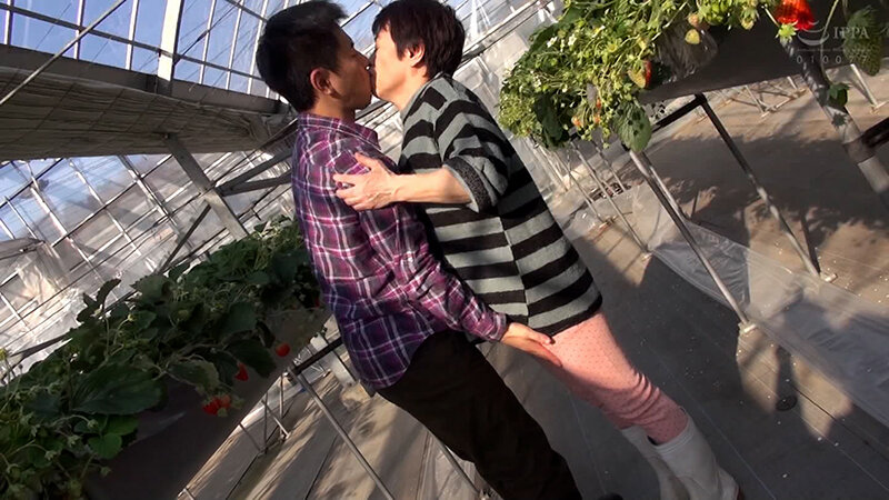 M679G-012 第 1 部分 - 30 分钟