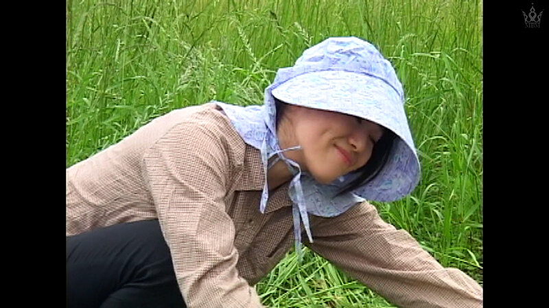 P029G-001 Part 1 - 30 minutes