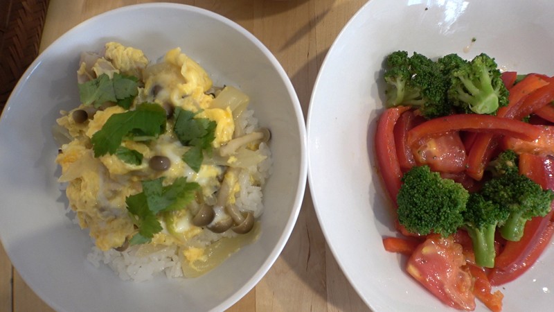 VGD-209 パート 14 - 95 分