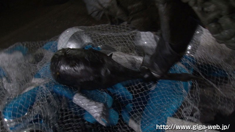 GHKO-005 パート 3 - 38 分