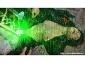 ダークヒロイン ゼロ 後編◆凌●編 - FANZA版サンプル画像