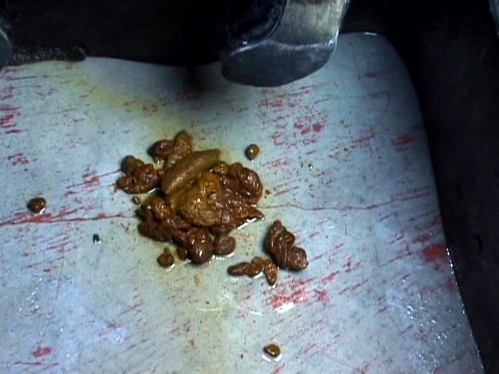 JDSD-001 パート 10 - 75 分