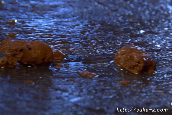 SKHG-003 Bagian 11 - 80 minit