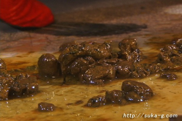 SKHG-004 Part 17 - 110 minutes