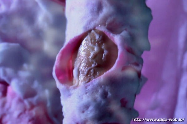 TGGP-042 第 12 部分 - 85 分钟