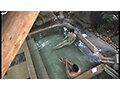 人里離れた混浴温泉で謎の美熟女とのワイセツ映像を盗れ！！ 画像2