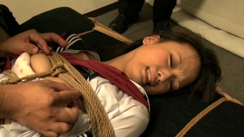 DSJA-002 第 2 部分 - 40 分钟