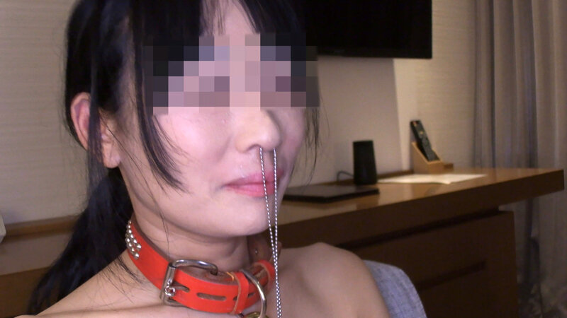 鼻輪・ラビア延伸・乳首肥大化 人体改造されているマゾ女(投稿ネーム◎石原由紀子) 画像1