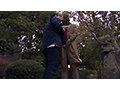 MCSR341-01 jav