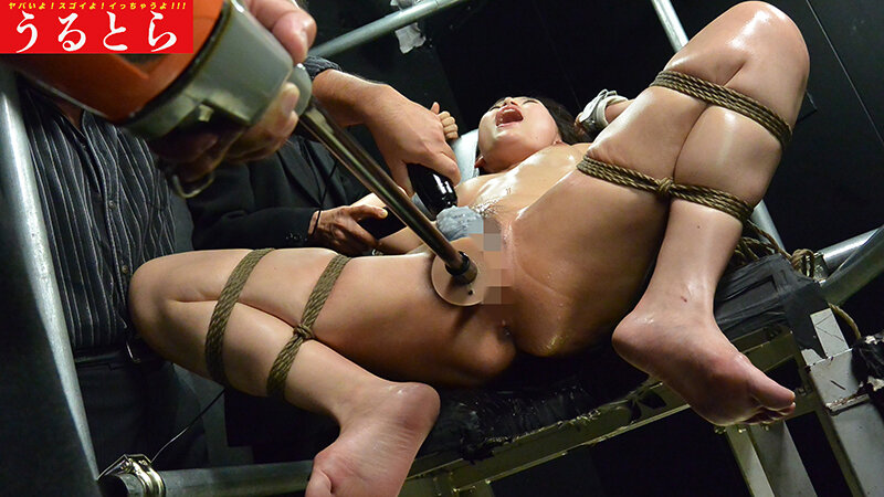 サンプル画像13