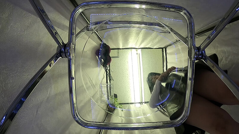 TSSR-02016 Bagian 3 - 32 minit