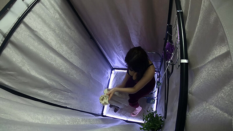 アニメ美女体型のおねえさんのお着替え 画像3