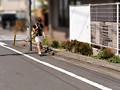 サンプル画像1 - ニセ就職面接でセックスレスな妻を騙して他人棒を… S.A 42歳