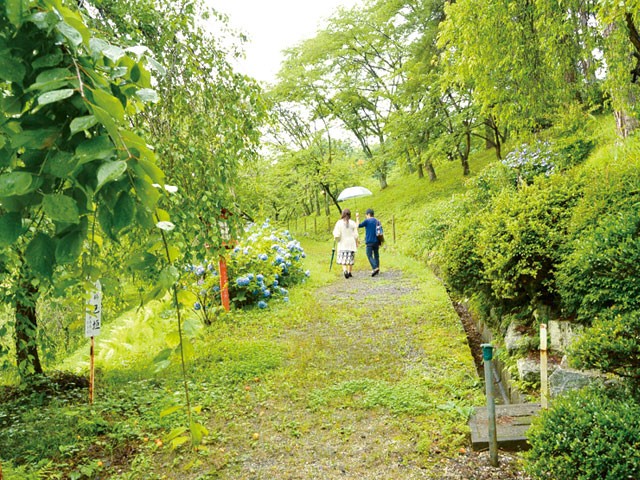 OFKU-014 第 1 部分 - 30 分钟