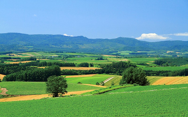 OFKU-060 Bagian 17 - 110 minit