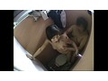 地味な働き者のオバサンほどよくしゃぶる 3 - サンプル画像