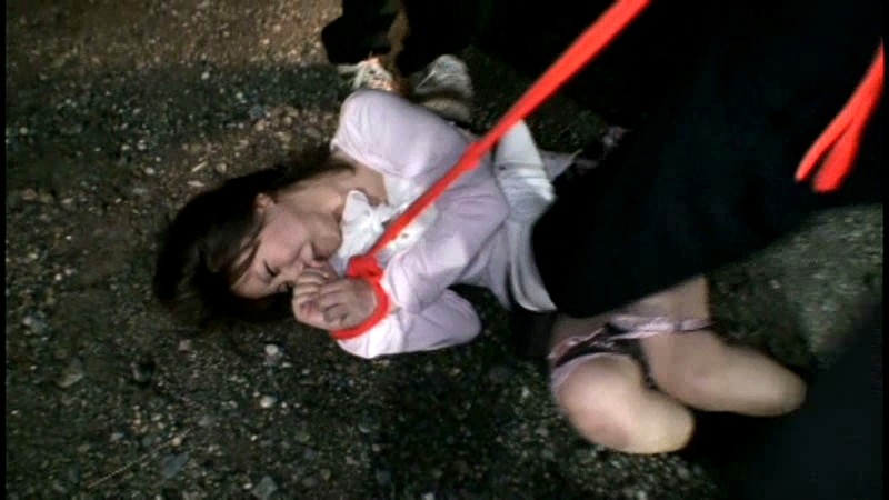 WAN-102 パート 17 - 110 分