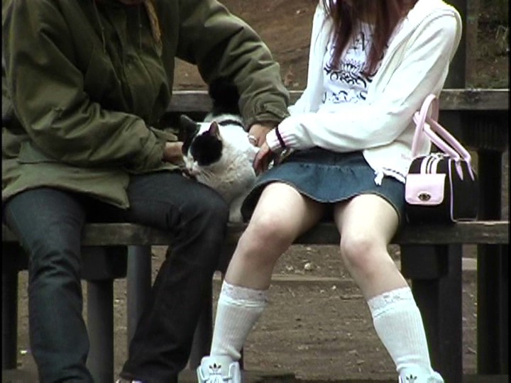 IMG-147 Bagian 7 - 54 minit