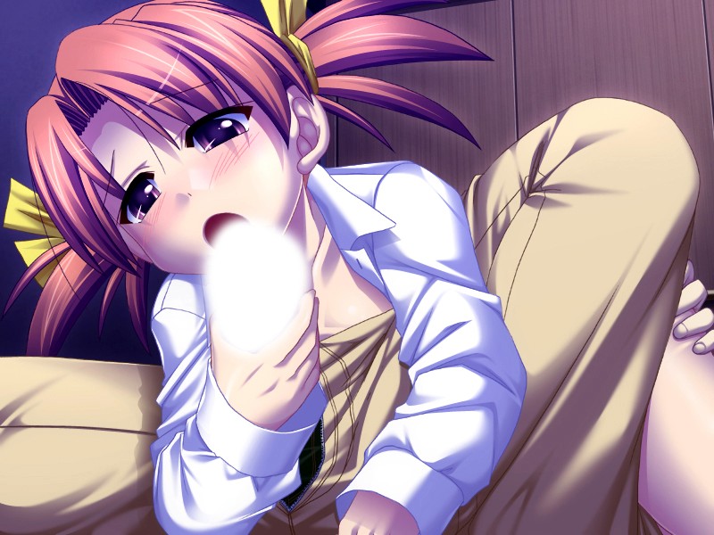 HEAT-SOFT 夜の秘め事PACK (DVDPG) 画像8