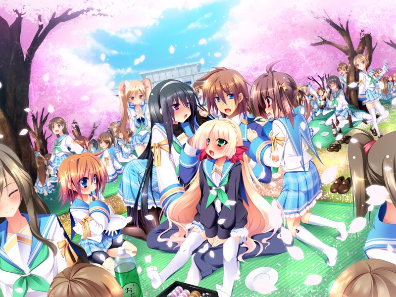 妹選抜☆総選挙 〜365人の妹いちゃラブマニフェスト〜 (DVDPG) 画像1