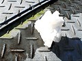 野ション中のお姉さんにこっそり近づき激撮！ - FANZA版サンプル画像