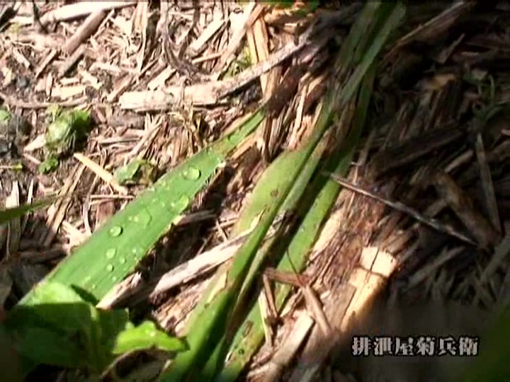 KBEA-008 Part 20 - 125 minutes