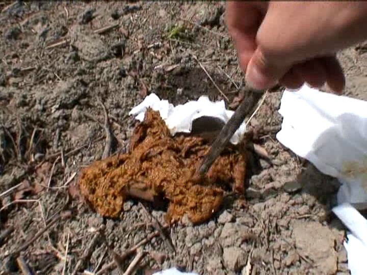 KBEA-010 パート 12 - 96 分