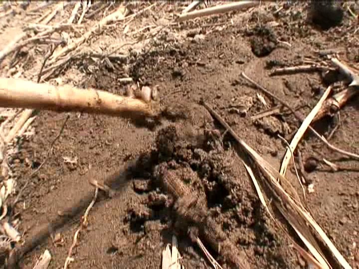 KBEA-010 パート 19 - 138 分