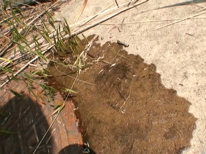 LQJI-804 第 20 部分 - 125 分钟