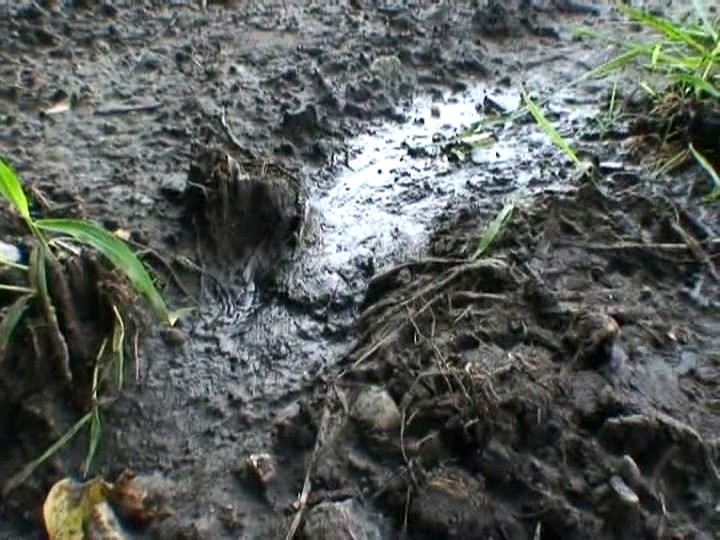 LQJI-804 第 5 部分 - 50 分钟