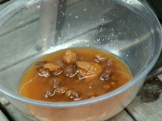 LQJI-851 Bagian 1 - 30 minit