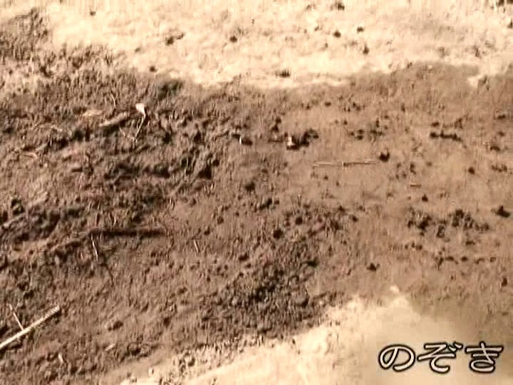 LTJN-510 Part 5 - 50 minutes