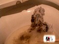 パスタ専門店のマネージャーが故障したトイレで排便する様子と焦っている様子を盗撮した後に便器に残されたオシッコウンコも撮影した映像 2 - FANZA版サンプル画像