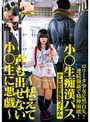 小○生痴●バス ～怯えて声も出せない小○生に悪戯～