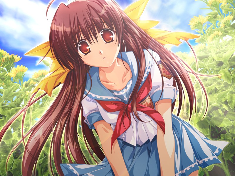 あかべぇそふとつぅ「車輪の国、向日葵の少女」UMD-PG Edition (UMDPG) 画像1