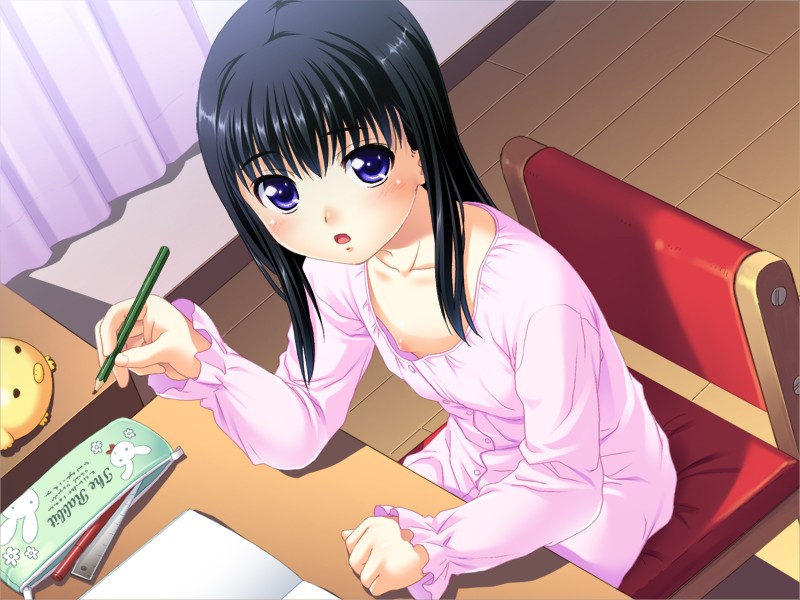 娘姉妹 UMD-PG Edition (UMDPG) 画像2