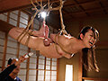 麻縄の甘美な快楽に堕ちていく美熟女たち 厳選映像十八話収録 8時間永久保存版 画像2