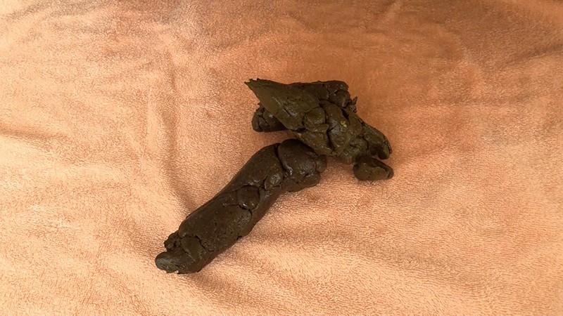 FONE-106 第 4 部分 - 57 分钟