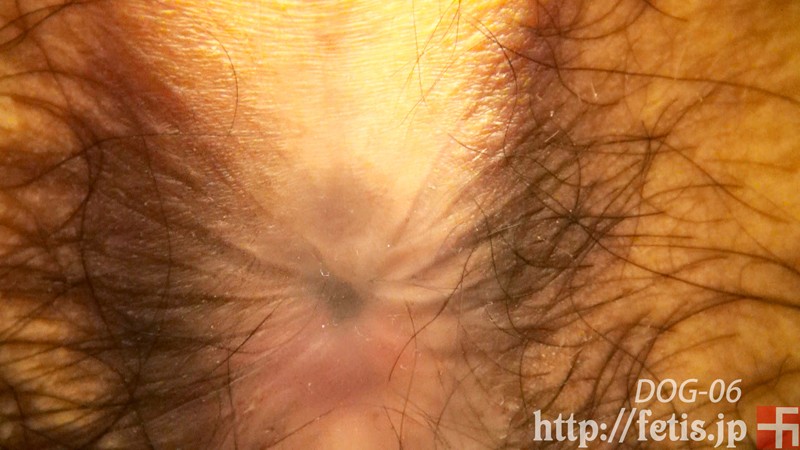 DOG-006 第 3 部分 - 46 分钟